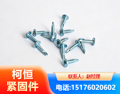 果洛华司钻尾丝