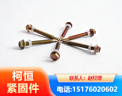 果洛六角钻尾丝